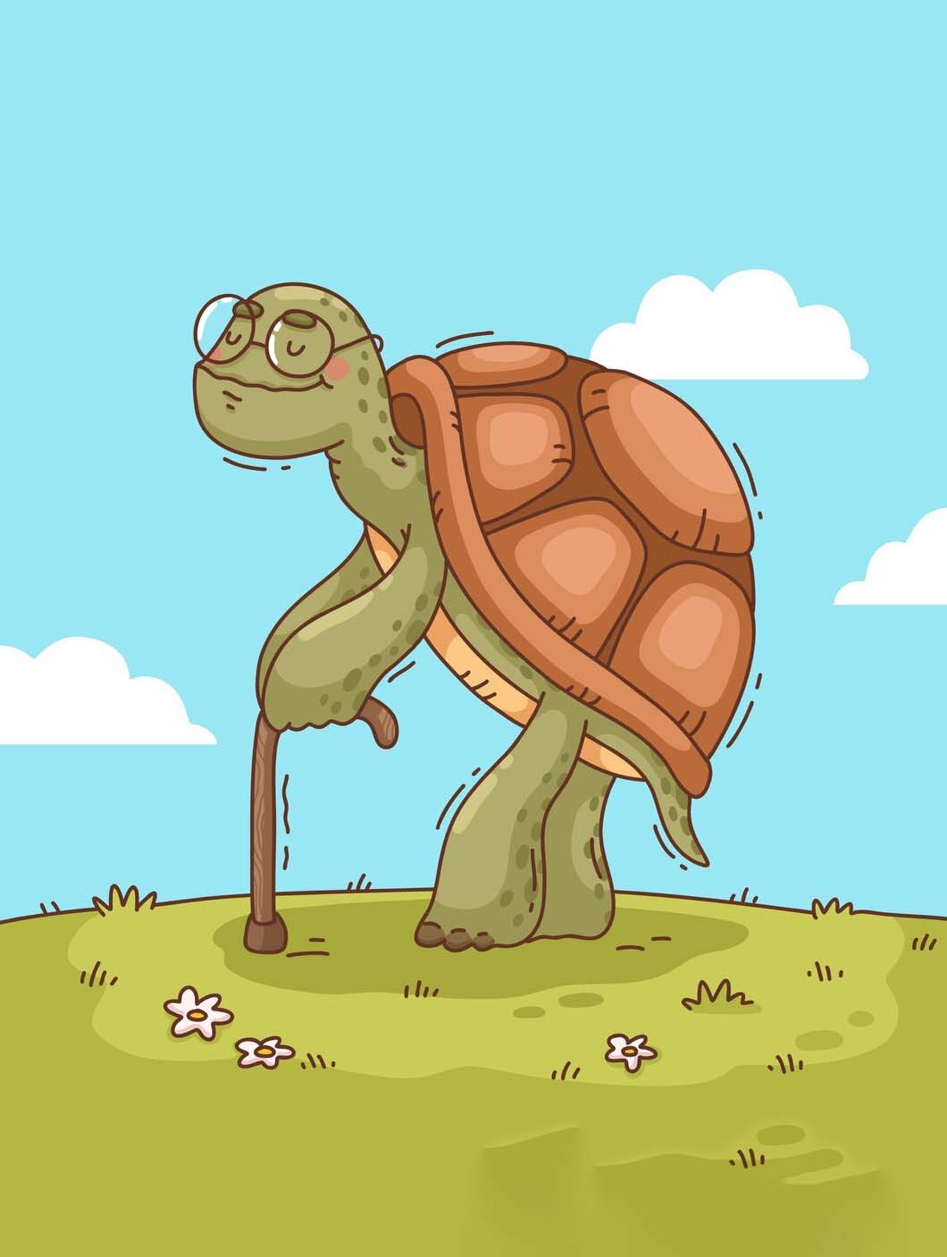 Tortoise illustration